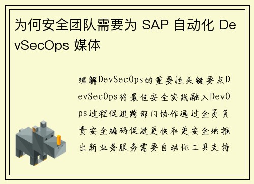为何安全团队需要为 SAP 自动化 DevSecOps 媒体