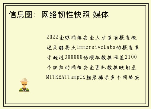 信息图：网络韧性快照 媒体